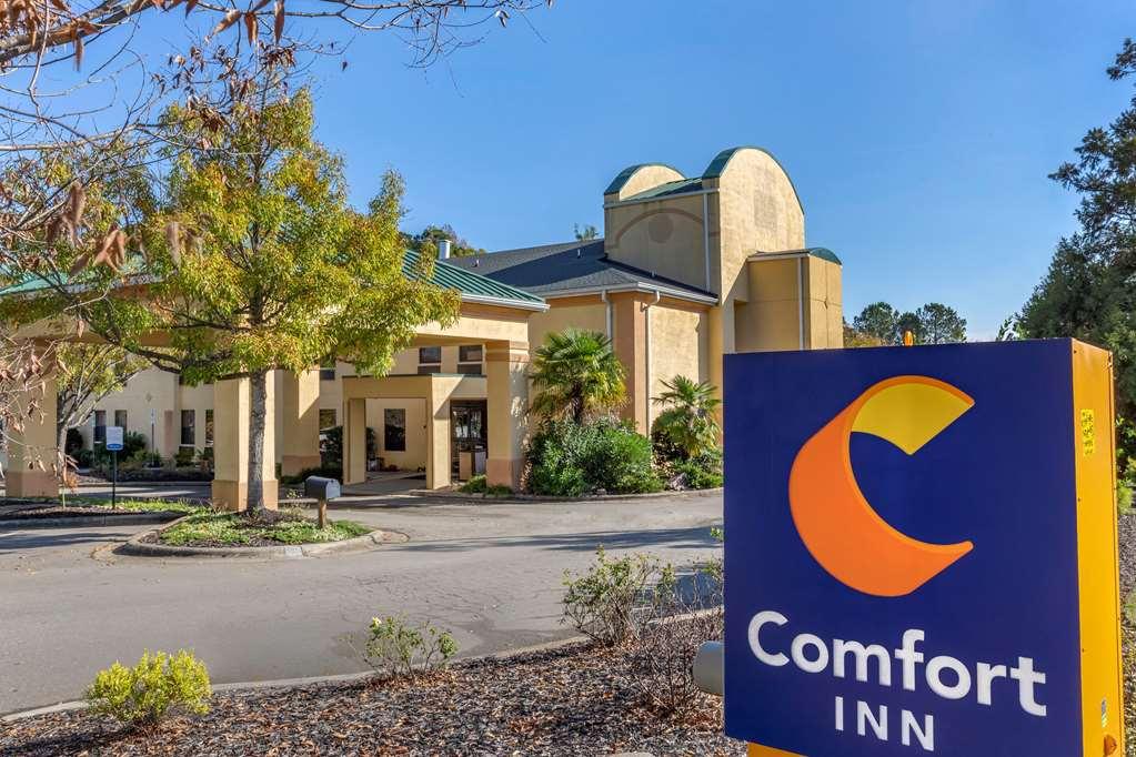 Comfort Inn Apex - Holly Springs מראה חיצוני תמונה